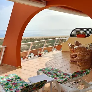 apartamento-balcon-de-jandia.in-canary-islands.com/